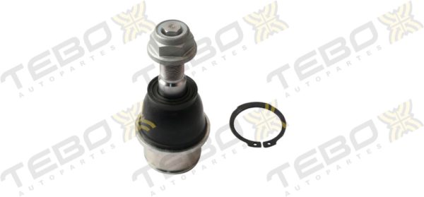 ROTULA INFERIOR 600312