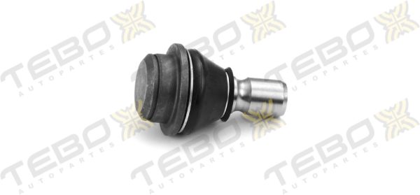 ROTULA INFERIOR 600003