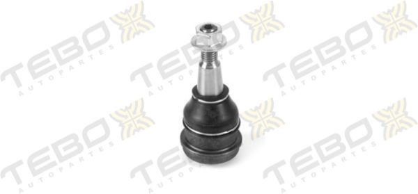 ROTULA INFERIOR 600267