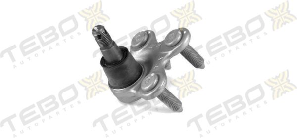 ROTULA INFERIOR 600270