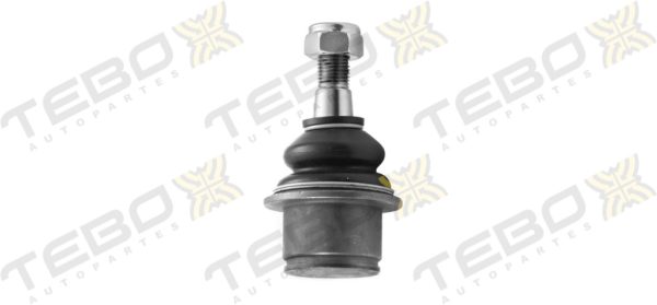ROTULA INFERIOR 600276