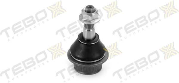ROTULA INFERIOR 600279