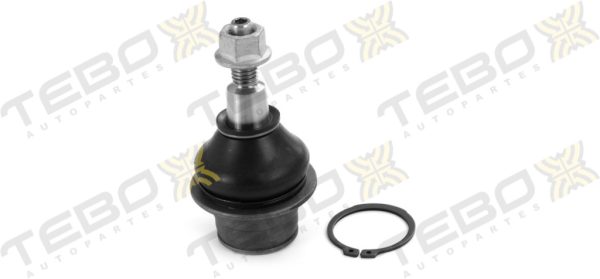 ROTULA INFERIOR 600283