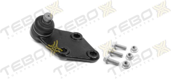 ROTULA INFERIOR "R" 600331