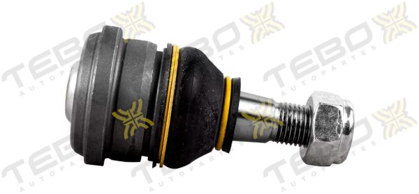 ROTULA INFERIOR 600170